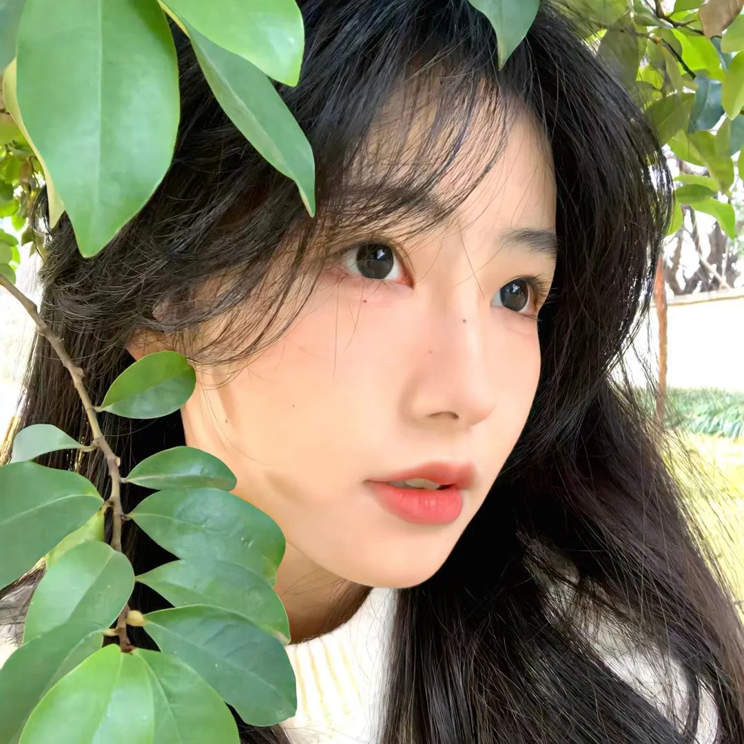在土星环中