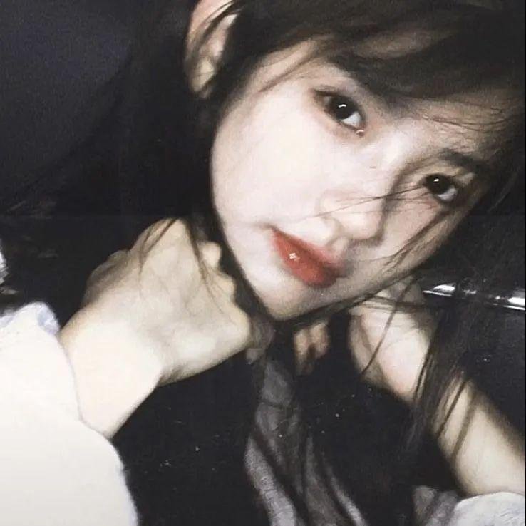 爱犬情深