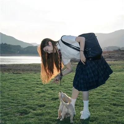 戴维